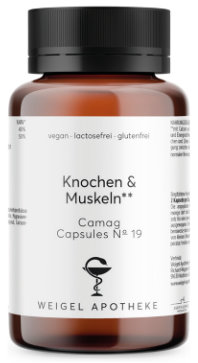 Knochen & Muskeln