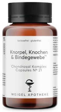 Knorpel, Knochen & Bindegewebe