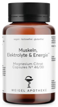 Muskeln, Elektrolyte & Energie
