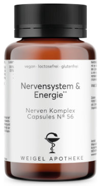 Nervensystem & Energie
